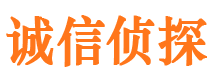 奉化市调查公司